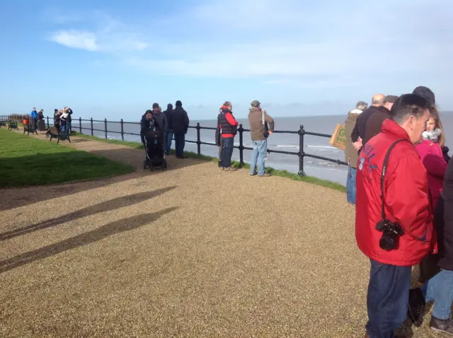 Crowds gather to spot whale