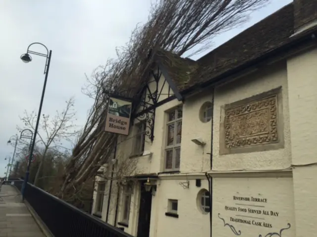 Pub with tree toppled onto it