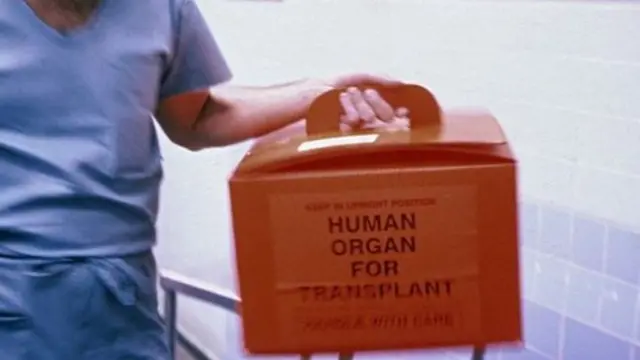 Nurse carrying organ for transplant in a box