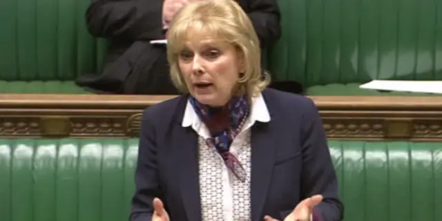 Business Minister Anna Soubry