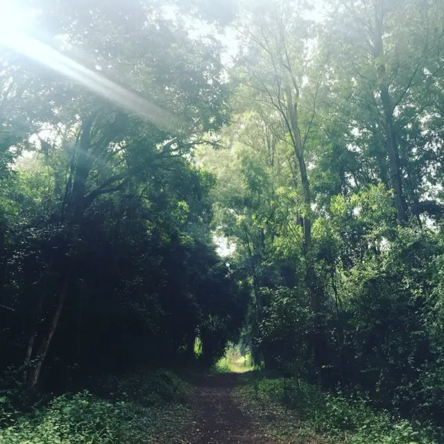 Karura forest in Nairobi, Kenya