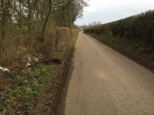 Road in hertfordshire where puppies were found