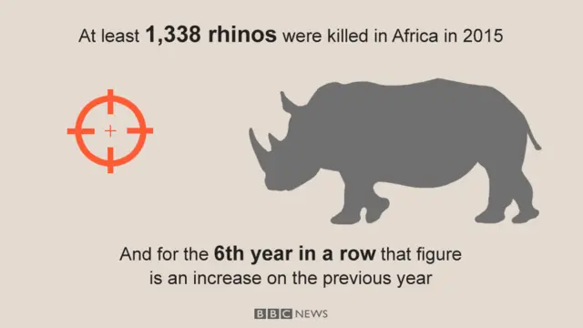 Rhino data