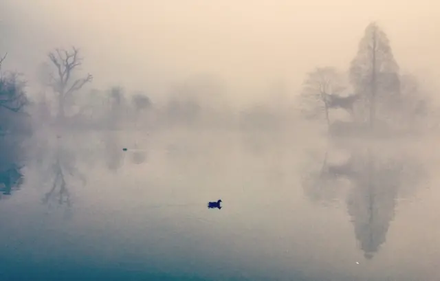 Foggy lake