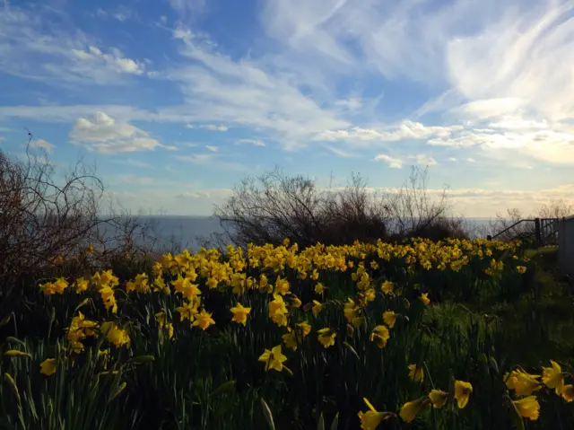 View from Holland-on-Sea