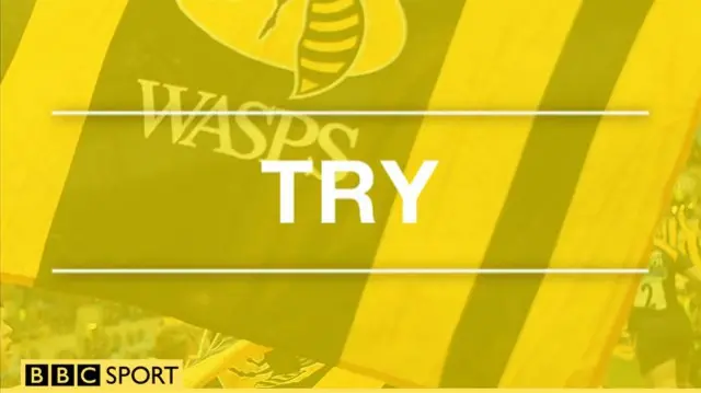 Wasps try