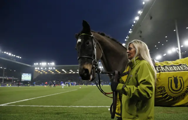 Race Horse Amberleigh House