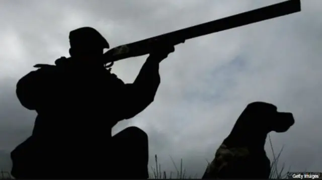 Hunter with gun and dog silhouette