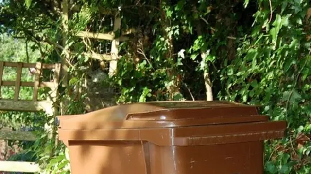 Brown bin