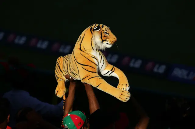 Bangladesh fan hoists a tiger