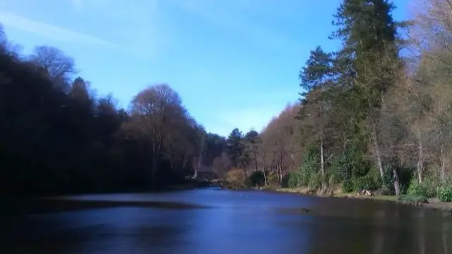 River in Cheadle