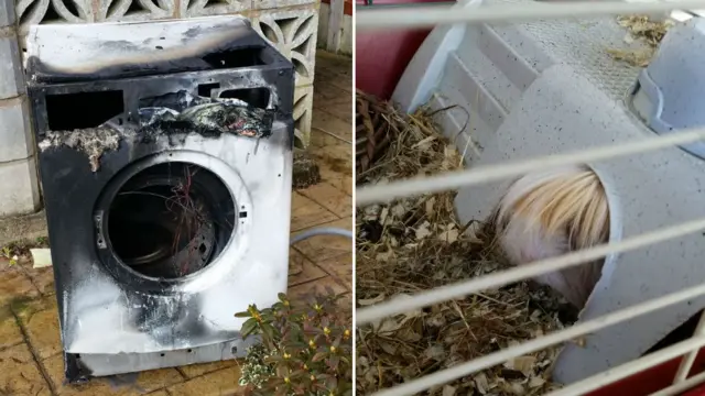 Washing machine fire - guinea pig rescued