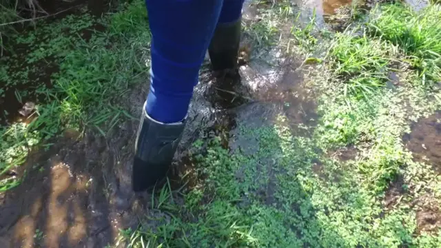 Flooded path