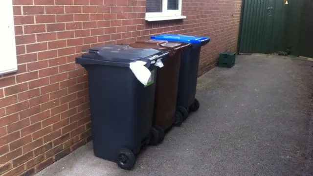 Pearl's bins