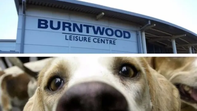 Burntwood Leisure Centre and a dog