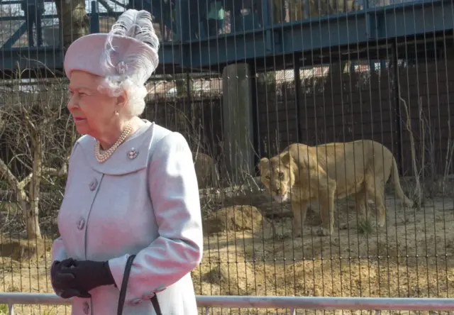 Queen at London Zoo