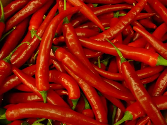 Red Chillis