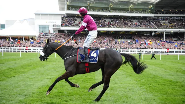 Don Cossack