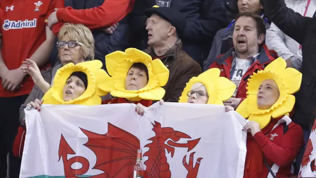 Wales fans