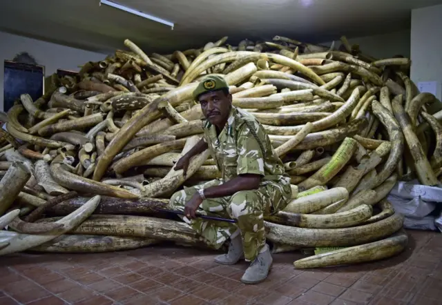 Soldier posing in front of ivory