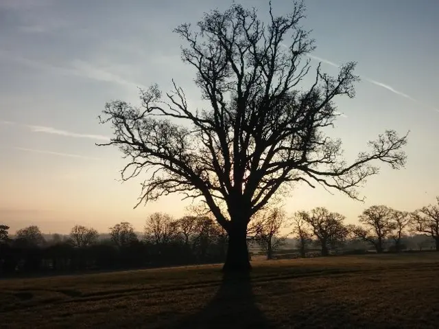 sunrise
