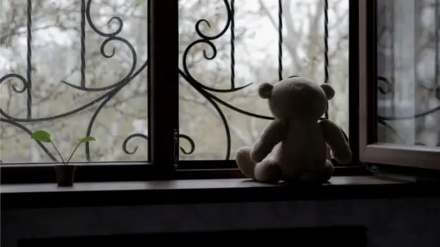 teddy bear in a window