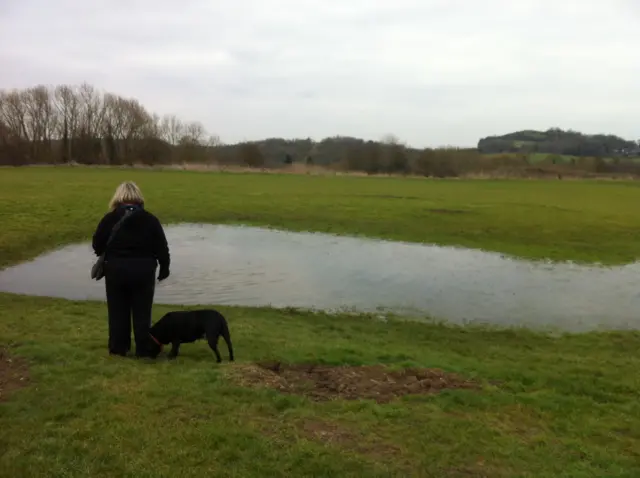 Dog walker in Blaby