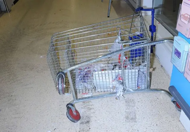 The supermarket trolley