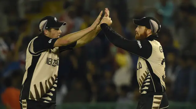 Martin Guptill celebrates New Zealand's victory