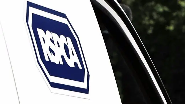 RSPCA van