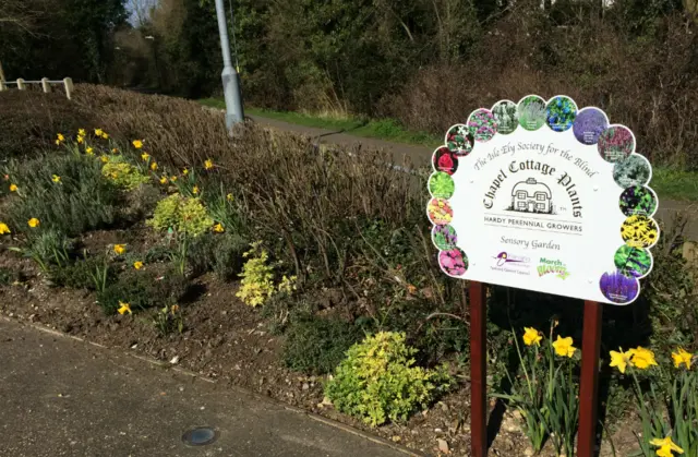 One of the beds where daffodils have been picked