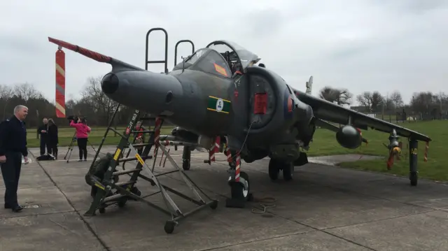 Harrier