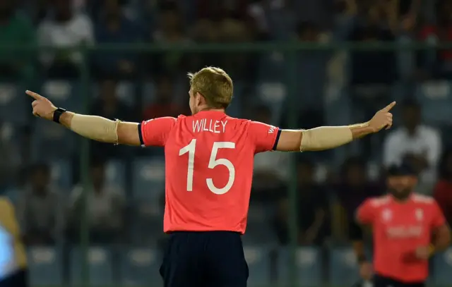 David Willey celebrates