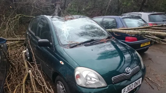 Tree down on car in Wimbledon