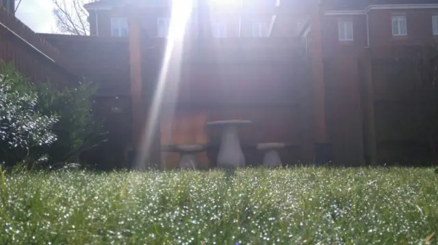 Concrete mushrooms in the garden