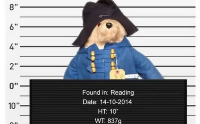 Paddington bear mug shot