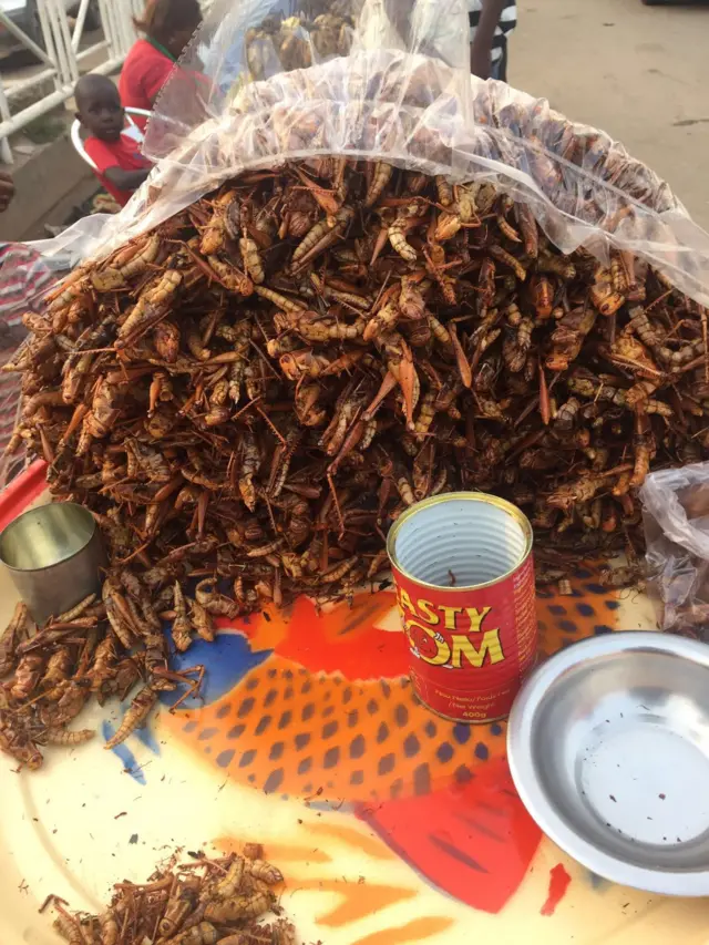 Grasshoppers for sale in Masaka, Nigeria