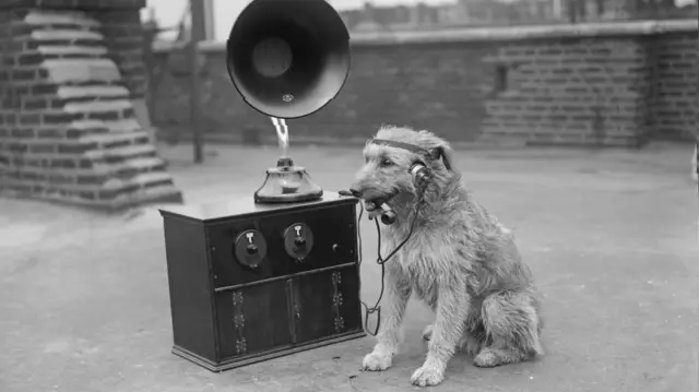 A dog listening to a radio