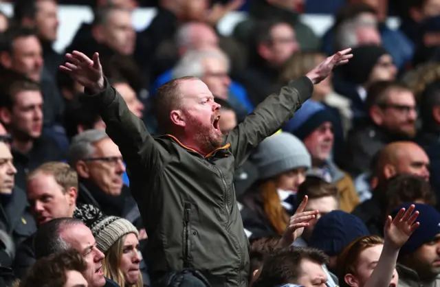 Tottenham Hotspur fan