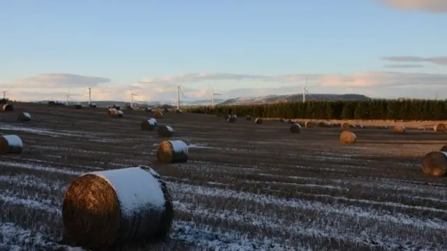 Field with hay bials