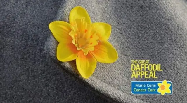 Coat with Marie Curie Daffodil