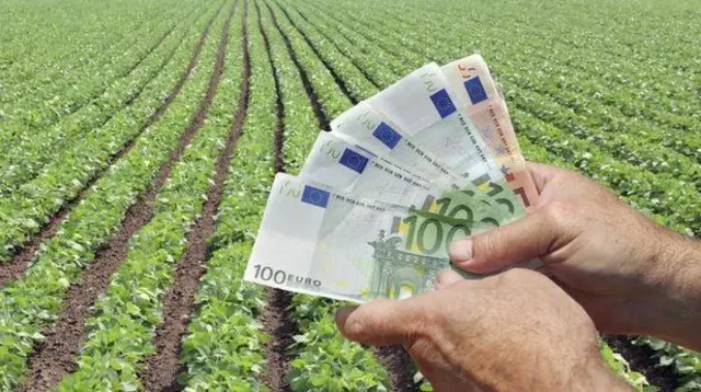 man holding Euros beside field