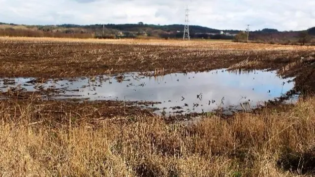 Large puddle in Madeley field