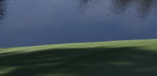 Spieth's ball goes in the water