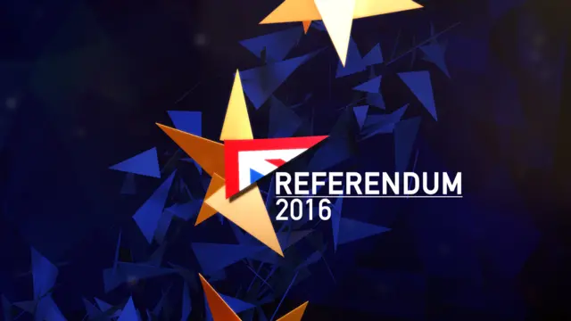 EU Referendum image