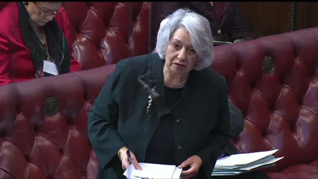 Baroness Hamwee