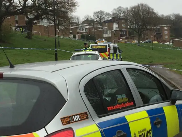 Police cars at scene