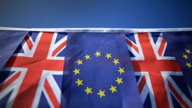 EU Flag and Union Jack