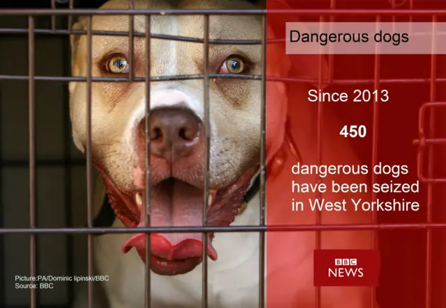 Dangerous dogs graphic