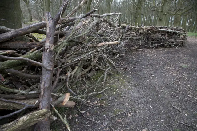 Fence